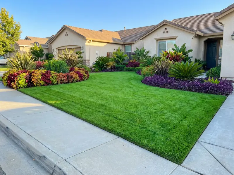 Lawn Installation — San Lorenzo